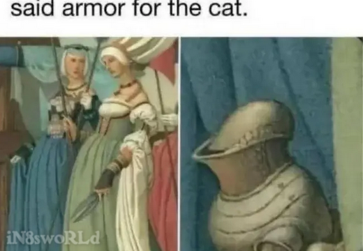 cat armour